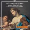 Download track Sonata No. 1 In A Major, C. 138: I. —