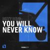 Download track You Will Never Know (Extended Mix)