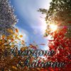 Download track Automne - Intro