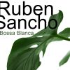 Download track Bossa Blanca (Radio Mix)