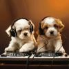 Download track Snuggly Puppy Tunes