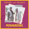 Download track Pamunodzoka