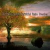 Download track Serene Within The Storm