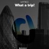 Download track What A Trip! (Original Mix)