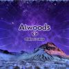 Download track Gravitational Waves (Alwoods Remix)