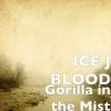 Download track Gorilla In The Mist