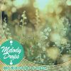 Download track Sun-Kissed Dew Drops