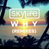 Download track Why (Acids Remix)