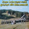 Download track Zum Schwarzwald Gehört Die Blasmusik