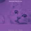 Download track Caring (Cats)