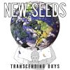 Download track Transcending Days