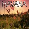 Download track Havana - Tribute To Camila Cabello And Young Thug (Instrumental Version)