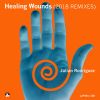 Download track Healing Wounds (Höhnflug Remix)