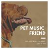 Download track Pet Music Long Days