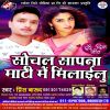 Download track Hamara Pyar Ke Kahe Bhulailu