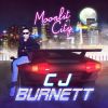 Download track Moonlit City