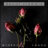 Download track Winter Roses