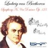 Download track Berliner Symphonika / 2. Symphony No. 9 In D Minor: Molto Vivace