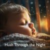 Download track Hush Through The Night, Pt. 33