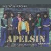 Download track Apelsini Boogie