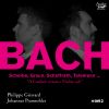 Download track Bach: Sonata In F Major, BWV 1022: I. Largo