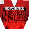 Download track I Looked Knees (Original Mix)