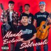 Download track Sobresali