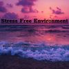 Download track Stress Relief Relaxation Music