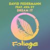 Download track Dream It (David Federmann Afro Mix)