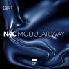 Download track Modular Way