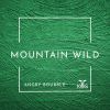 Download track Mountain Wild