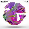 Download track The Gains (Original Mix)