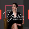 Download track Yasaklım