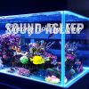 Download track Relaxing Fish Tank Noise, Pt. 12