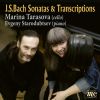 Download track Viola Da Gamba Sonata In G Major, BWV 1027: II. Allegro Ma Non Tanto