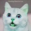 Download track Warm (Sleeping Cats)