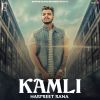 Download track Kamli