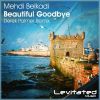 Download track Beautiful Goodbye (Derek Palmer Remix)