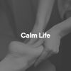 Download track Calm Life, Pt. 17