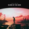 Download track Blown By The Wind