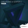 Download track Vigor (Extended Mix)