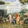 Download track Sonata For Chalumeau And Basso Continuo In B-Flat Major: I. Adagio