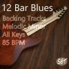 Download track 12 Bar Blues Backing Track In E Melodic Minor 85 BPM, Vol. 1