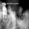 Download track The After Life: I've Met My Lost Brother