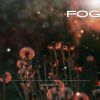 Download track Fog