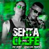 Download track Ela Senta Pro Chefe (Remix)