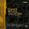 Download track Second Symphony For Organ: III. Prologue And Scherzo