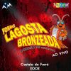 Download track Encerramento (Ao Vivo)