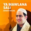 Download track Ya Mawlana Sali