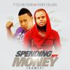 Download track Spending My Money (Remix)